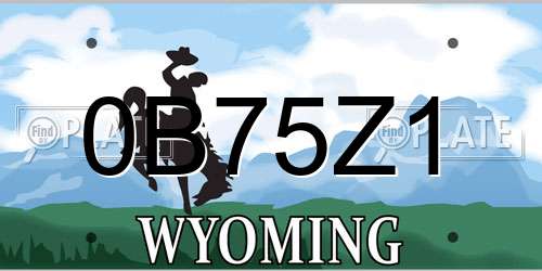 0B75Z1 Wyoming License Plate