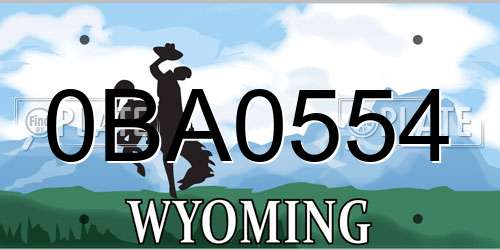 0BA0554 Wyoming License Plate