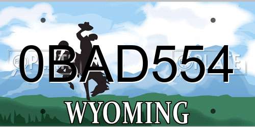 0BAD554 Wyoming License Plate