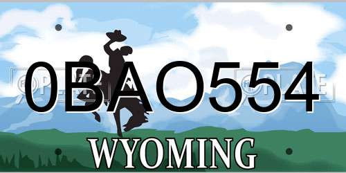 0BAO554 Wyoming License Plate