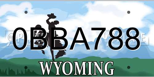 0BBA788 Wyoming License Plate