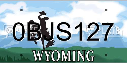 0BJS127 Wyoming License Plate