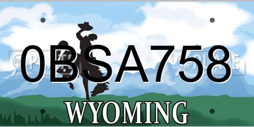 0BSA758 Wyoming License Plate