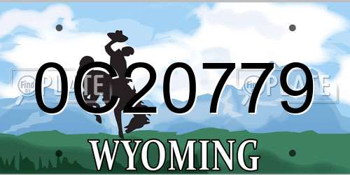 0C20779 Wyoming License Plate