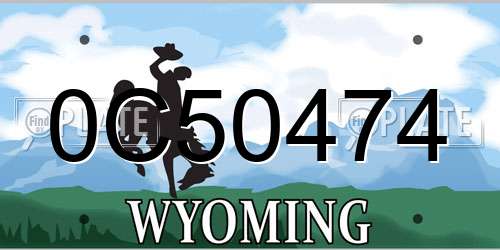 0C50474 Wyoming License Plate