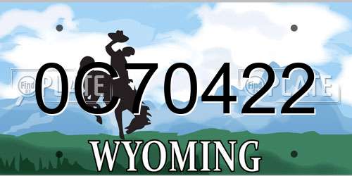 0C70422 Wyoming License Plate