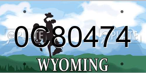 0C80474 Wyoming License Plate
