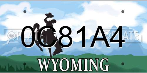 0C81A4 Wyoming License Plate