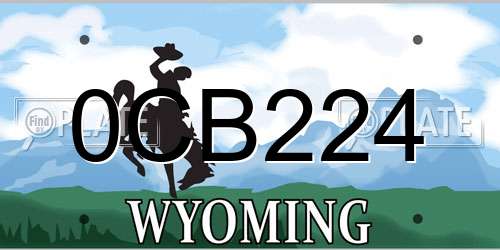 0CB224 Wyoming License Plate