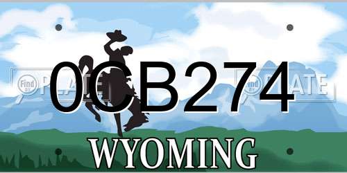 0CB274 Wyoming License Plate