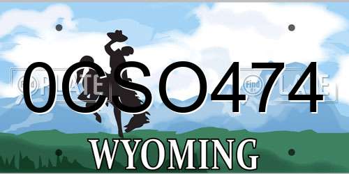 0CSO474 Wyoming License Plate
