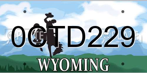 0CTD229 Wyoming License Plate