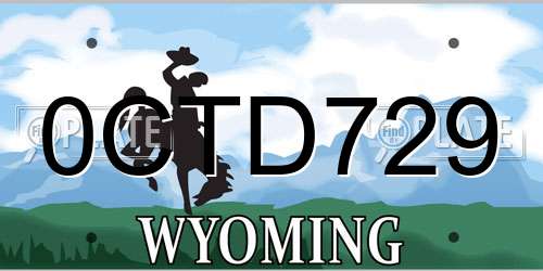 0CTD729 Wyoming License Plate