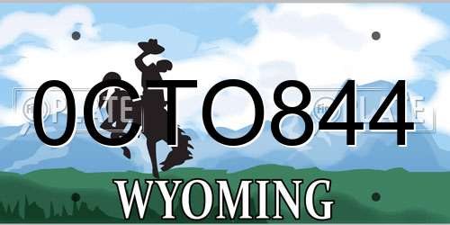 0CTO844 Wyoming License Plate