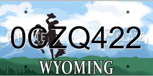 0CZQ422 Wyoming License Plate