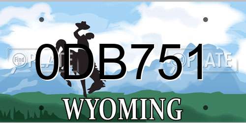 0DB751 Wyoming License Plate