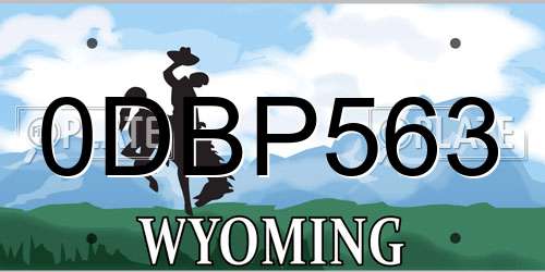 0DBP563 Wyoming License Plate
