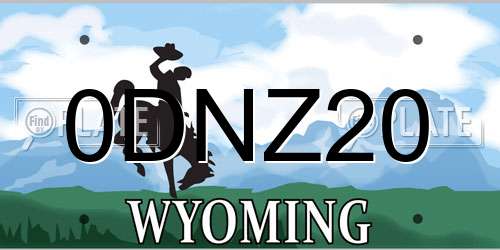 0DNZ20 Wyoming License Plate