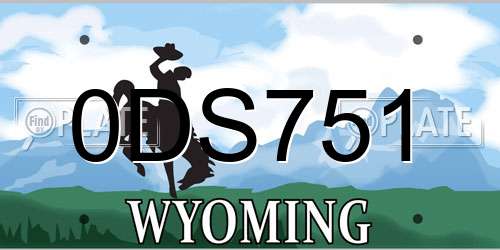 0DS751 Wyoming License Plate