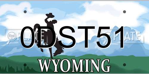 0DST51 Wyoming License Plate