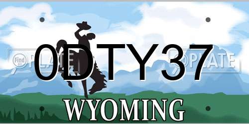 0DTY37 Wyoming License Plate