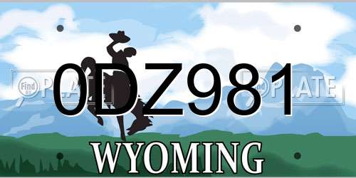 0DZ981 Wyoming License Plate