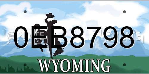 0EB8798 Wyoming License Plate