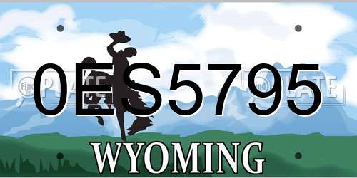 0ES5795 Wyoming License Plate