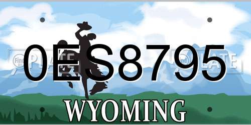 0ES8795 Wyoming License Plate