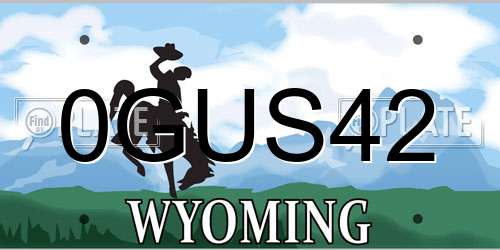 0GUS42 Wyoming License Plate