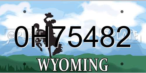 0H75482 Wyoming License Plate