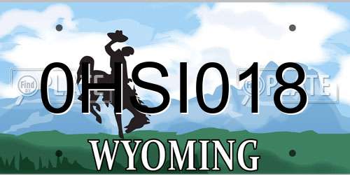 0HSI018 Wyoming License Plate