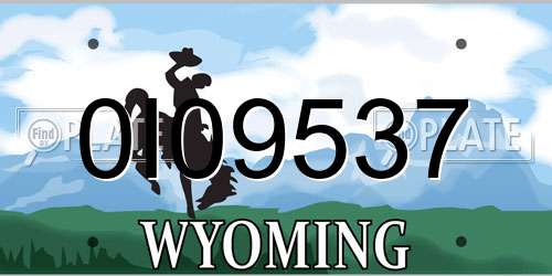 0I09537 Wyoming License Plate