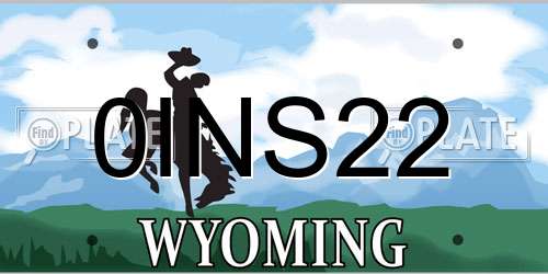 0INS22 Wyoming License Plate