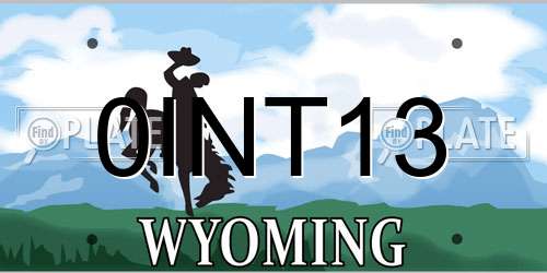 0INT13 Wyoming License Plate