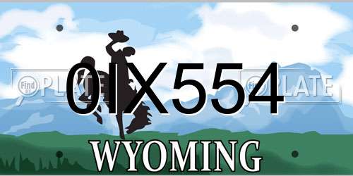 0IX554 Wyoming License Plate