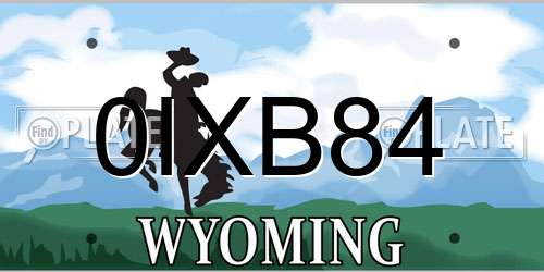 0IXB84 Wyoming License Plate