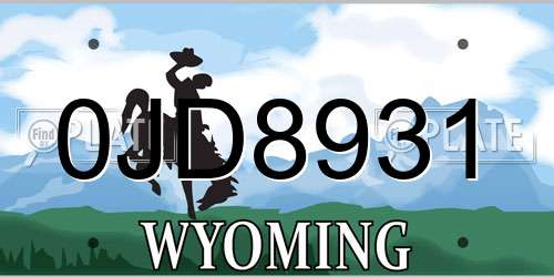0JD8931 Wyoming License Plate