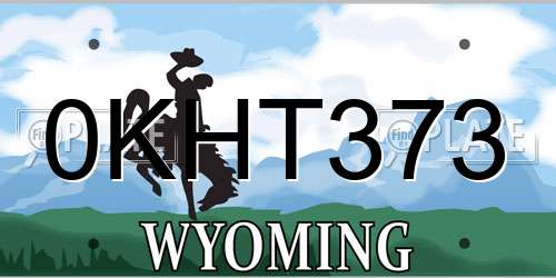 0KHT373 Wyoming License Plate