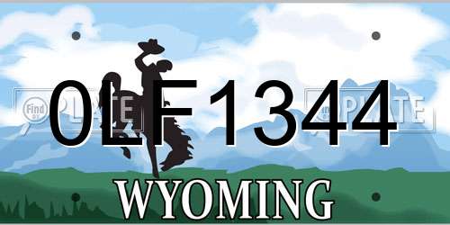0LF1344 Wyoming License Plate