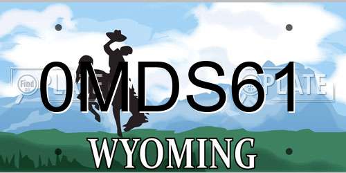 0MDS61 Wyoming License Plate