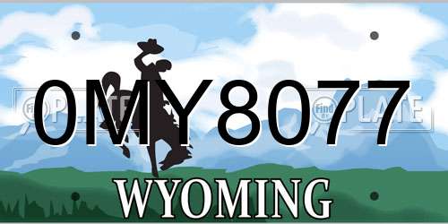 0MY8077 Wyoming License Plate