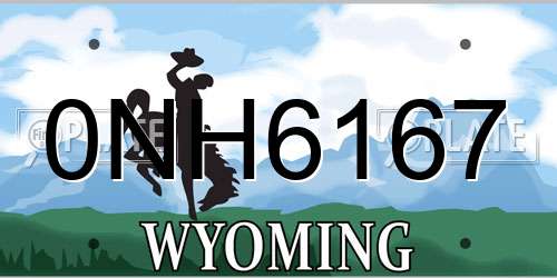 0NH6167 Wyoming License Plate