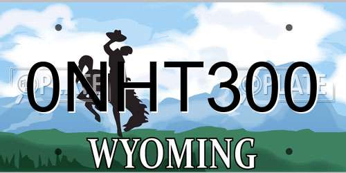 0NHT300 Wyoming License Plate