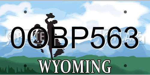 0OBP563 Wyoming License Plate