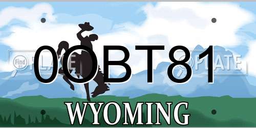 0OBT81 Wyoming License Plate