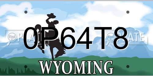 0P64T8 Wyoming License Plate