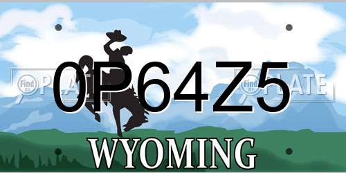 0P64Z5 Wyoming License Plate