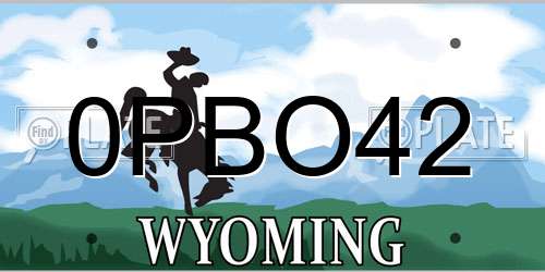 0PBO42 Wyoming License Plate