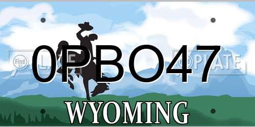 0PBO47 Wyoming License Plate